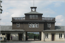Buchenwald_TF_Bauer